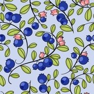 Elegant frame with blueberries N3