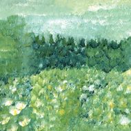 Abstract Meadow
