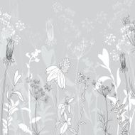 Monochrome line drawing herbs