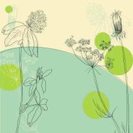 line drawing herbs N2