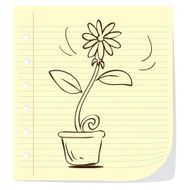 Plant In Pot N6