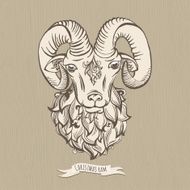 Hand drawn doodle ram N2