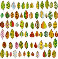 set of decorative abstract leaves N2