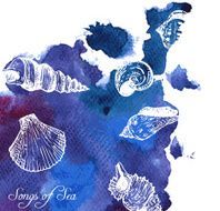 line drawning shell at watercolor background N9