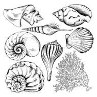 Shell set N3