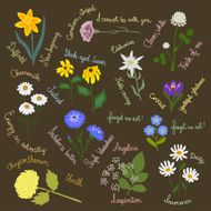 Victorian Flower meanings