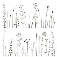 Sketchy Wild Field Flowers and Grass on White Monochrome Collection