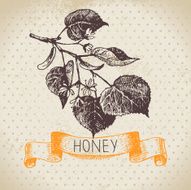 Honey background with hand drawn sketch illustration N14
