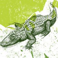 sketchy gator background