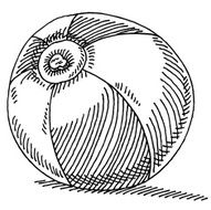Beach Ball Drawing