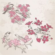 Doodle Birds &amp; Flowers Set
