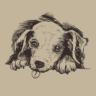 sketch puppy