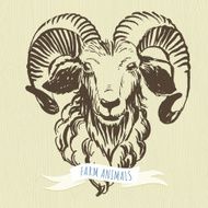 Marker hand-drawn farm animals ram (sheep) N2