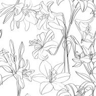Lilies pattern superposed