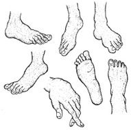 Hand Drawn Human Foot Set