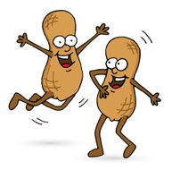Go Nuts!