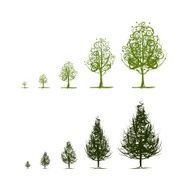 Stages of growing tree for your design N3