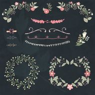 Hand drawn floral design element set