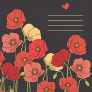 Vintage poppy card on black background