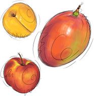 Apricot mango and nectarine