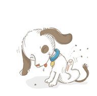 Itchy dog