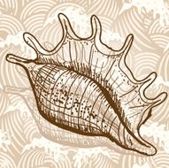 Sea Shell N7