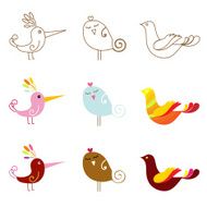 Vector bird set