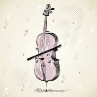 violoncello