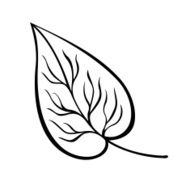 Original Decorative Leaf with Ornament (Vector) N31