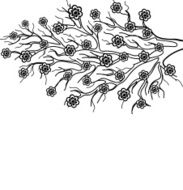 Blooming tree branch a symbol of spring