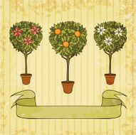 trees in the pot