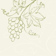 Grape wine card