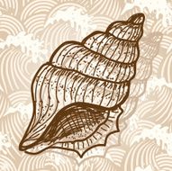 Sea Shell N8