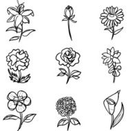 Flower collection in black and white N2