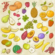 Vintage Fruit Multicolored Contours
