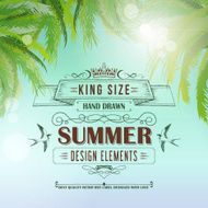 Summer Vintage Background N2