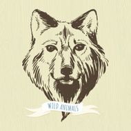 Marker hand-drawn forest animals wolf N2
