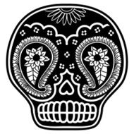 Paisley Skull N2