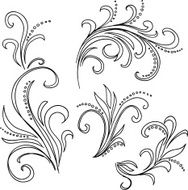Scroll in sketch style N2