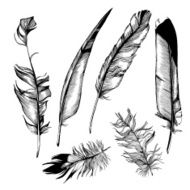 Feather set N11