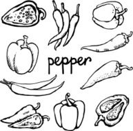 Set sketch red hot chili and bell peppers