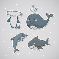 Sticker with dolphin shark whale