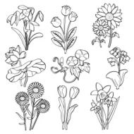 Flowers N107