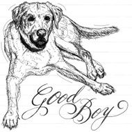 dog sketch N2