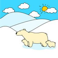 Polar Bear N9