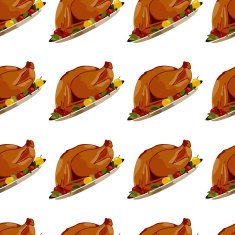 Roast Turkey N2