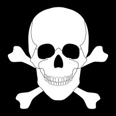 white skull and crossbones on a black background