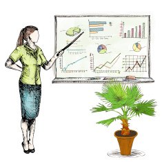 Business sketch graphs