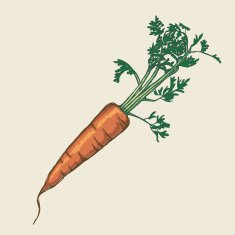 Carrot N5