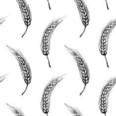 Hand-drawn ears of wheat seamless pattern